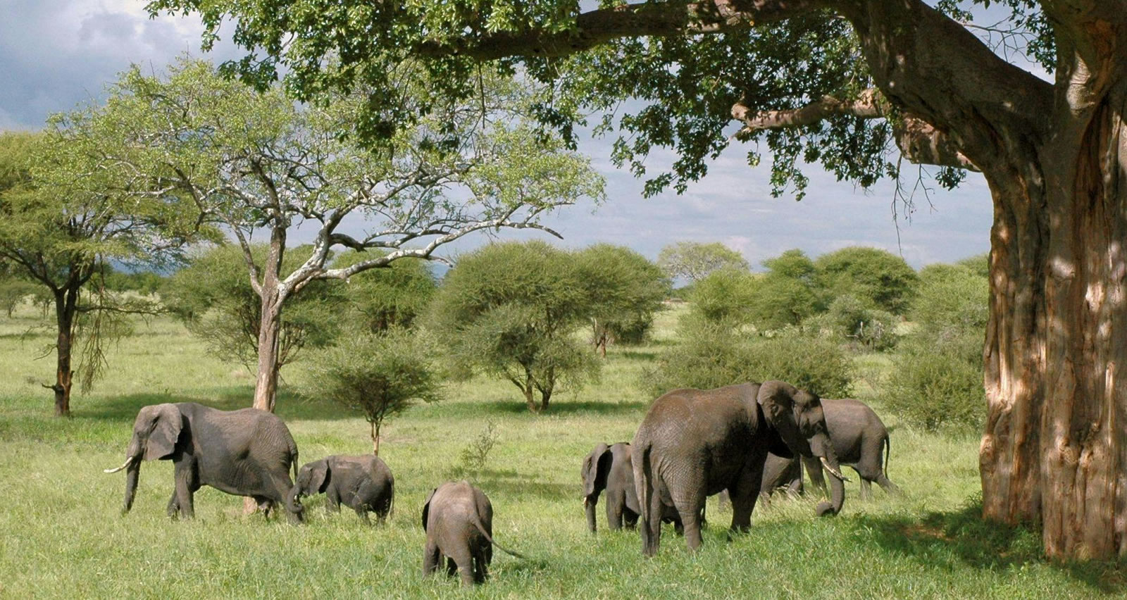 7-day Kenya Grand Wildlife safari